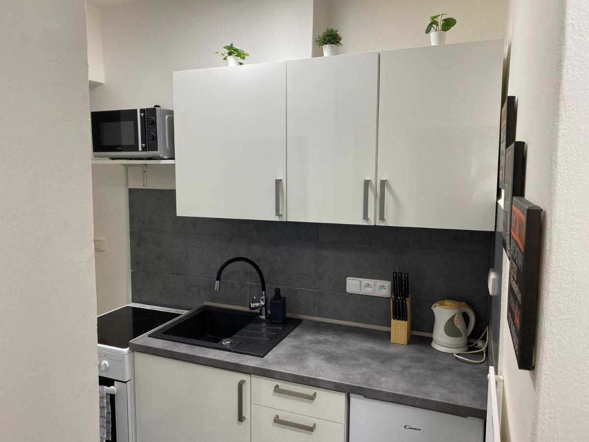 布尔诺Downtown Flat Under Spilberk Castle公寓 外观 照片