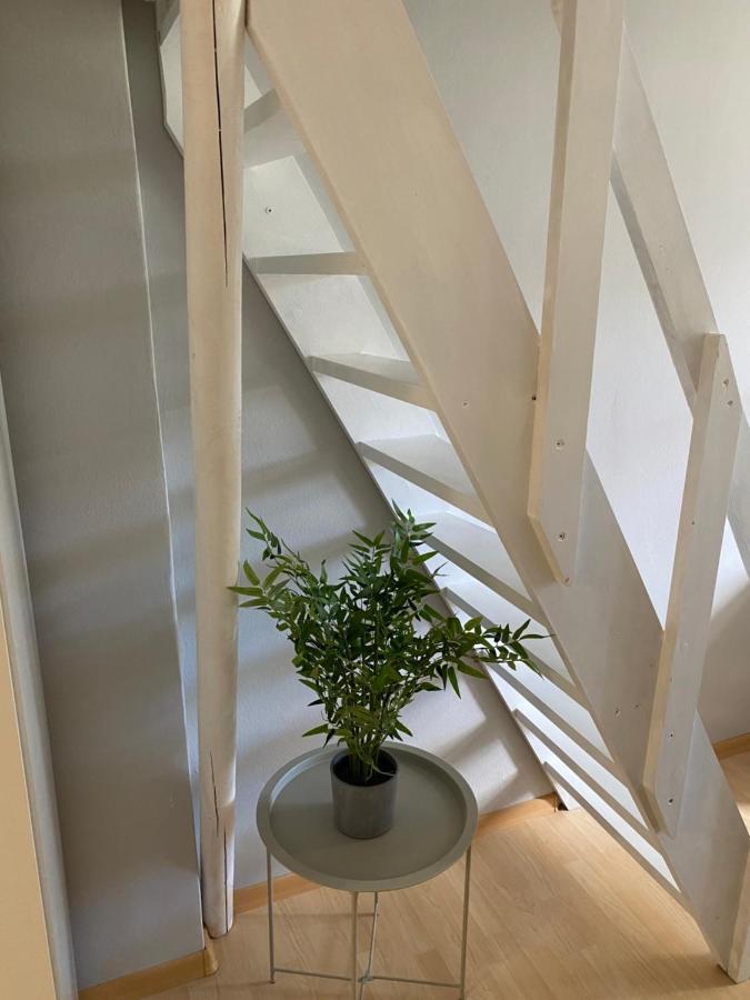 布尔诺Downtown Flat Under Spilberk Castle公寓 外观 照片