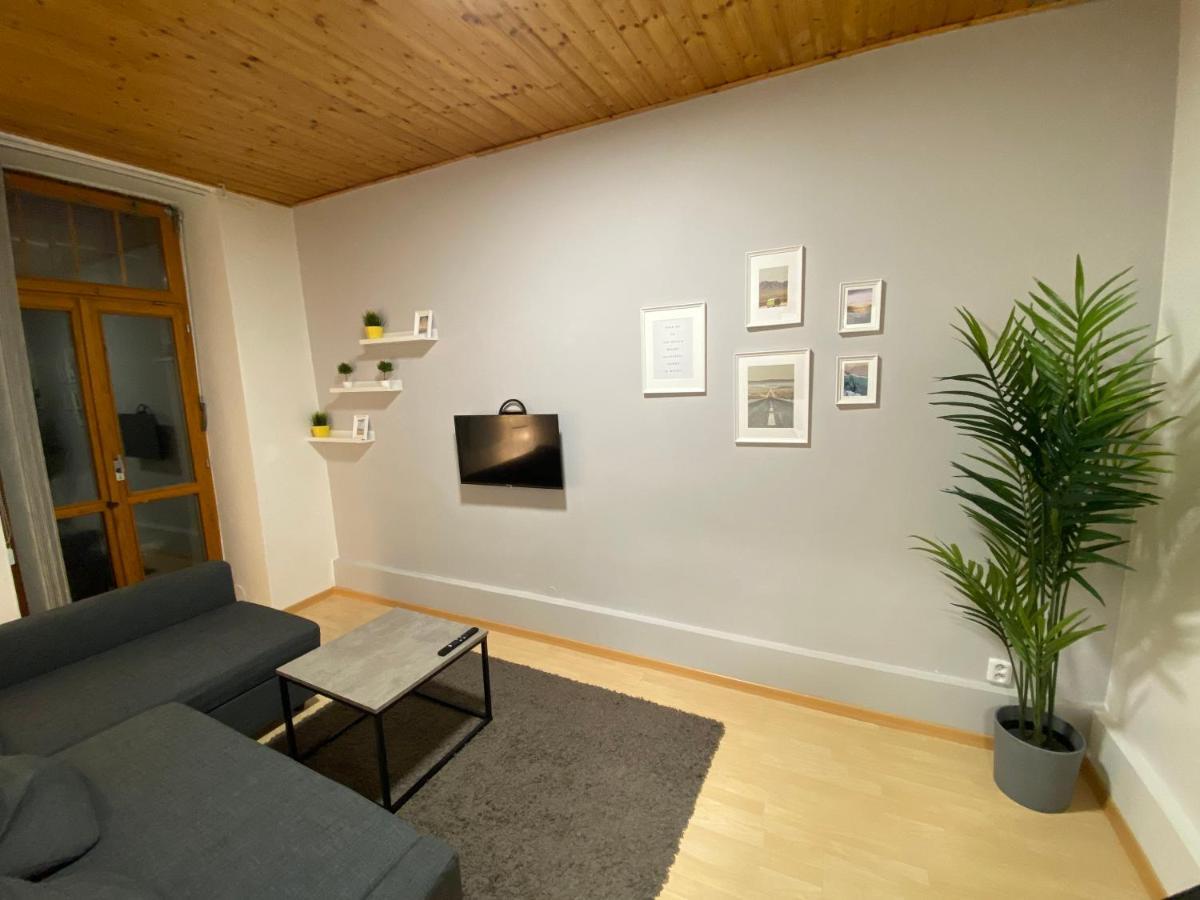 布尔诺Downtown Flat Under Spilberk Castle公寓 外观 照片
