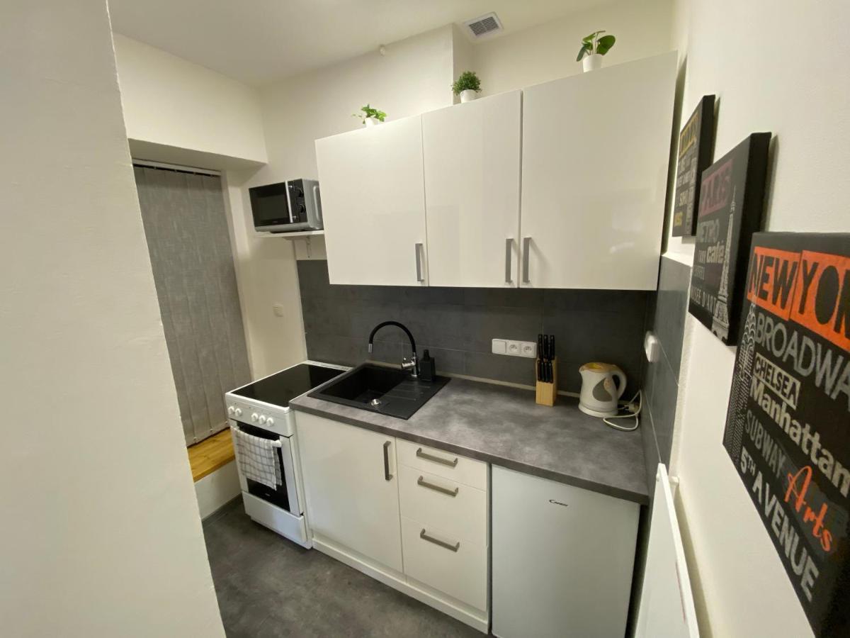 布尔诺Downtown Flat Under Spilberk Castle公寓 外观 照片